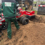 Baumwurzel nachher Stubben Fräsen Gartenservice Huschke