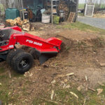 Baumwurzel vorher Stubben Fräsen Gartenservice Huschke