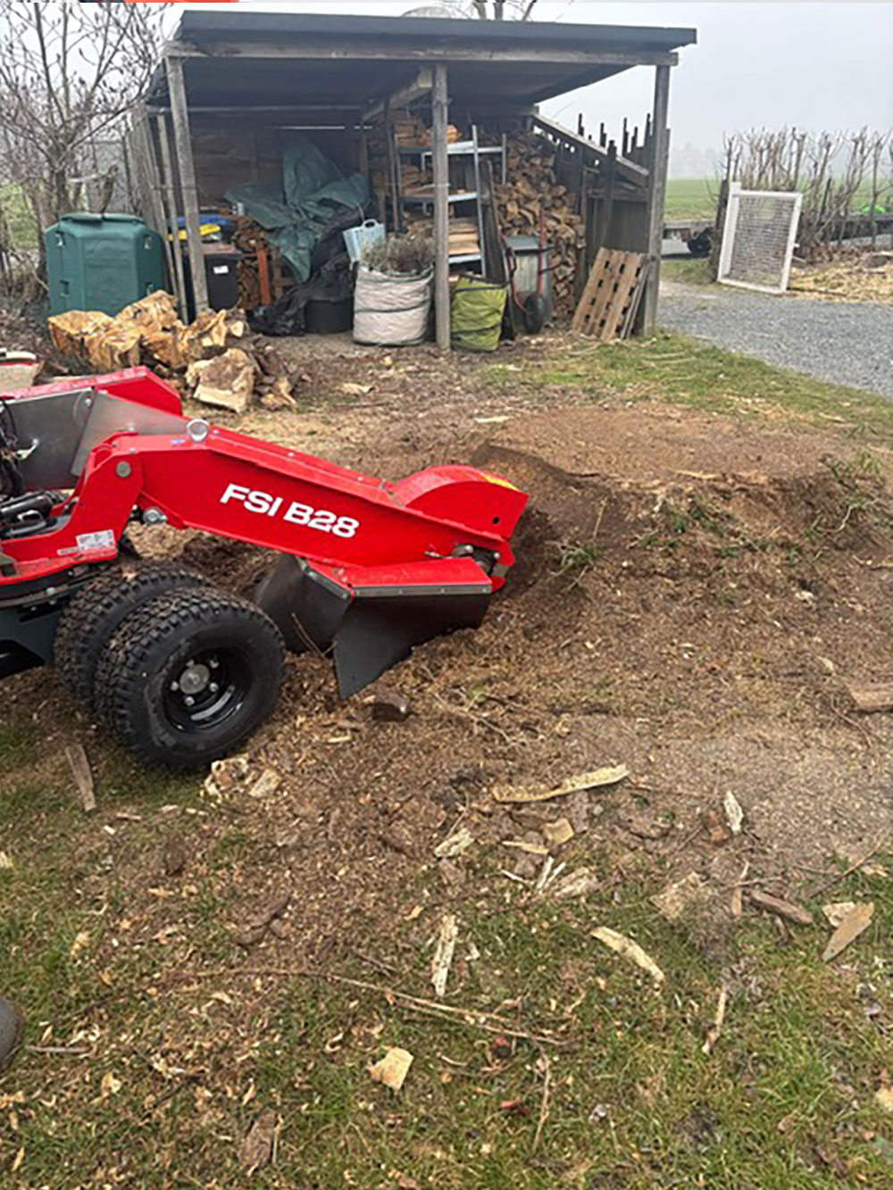 Baumwurzel vorher Stubben Fräsen Gartenservice Huschke